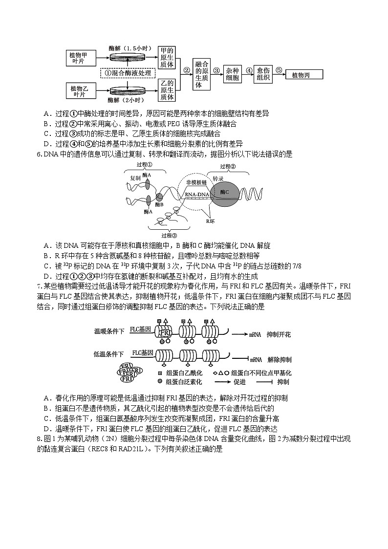 绵阳南山中学实验学校2025-2026学年高三上学期9月月考+生物第2页