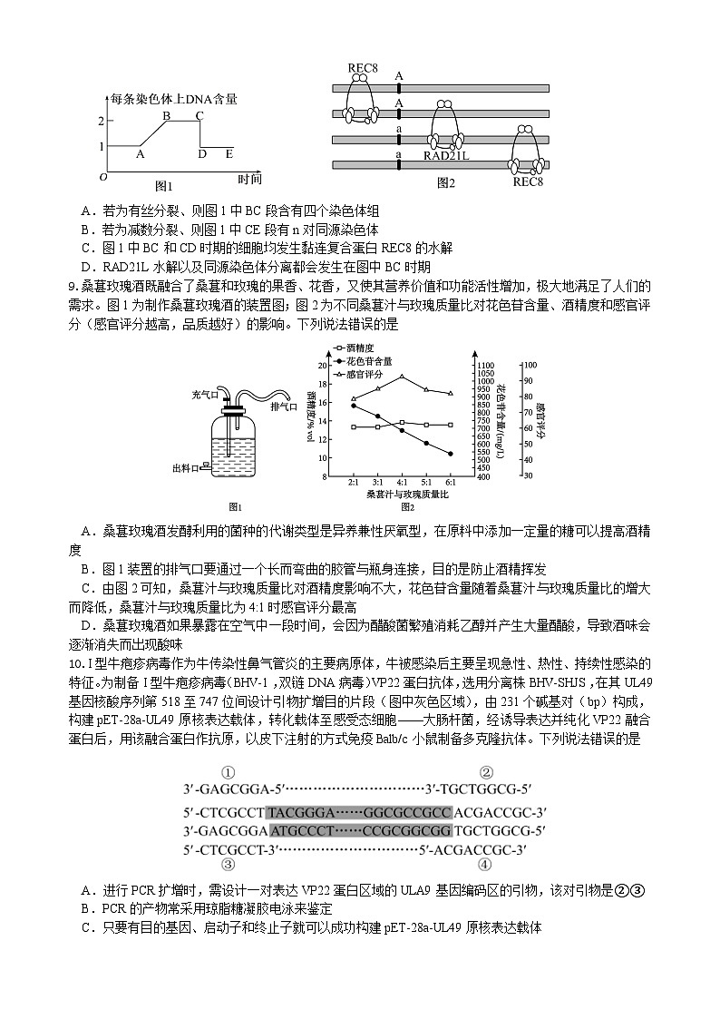 绵阳南山中学实验学校2025-2026学年高三上学期9月月考+生物第3页