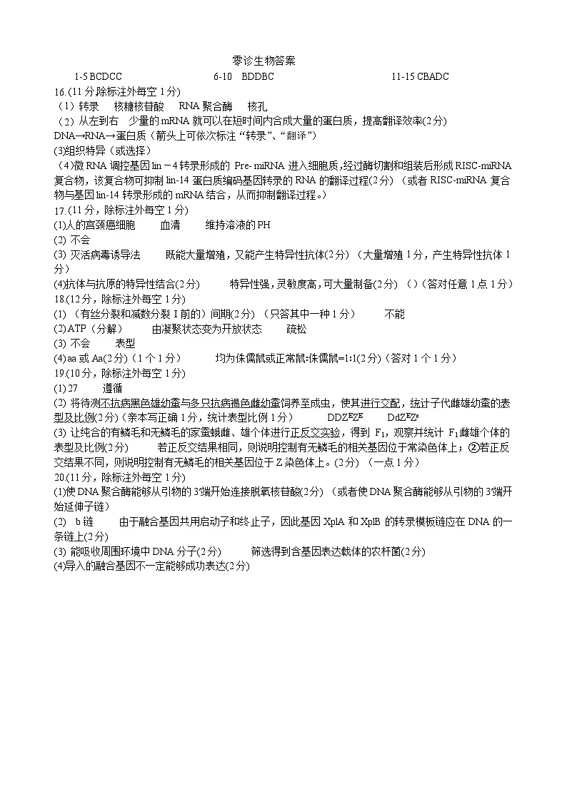 绵阳南山中学实验学校2025-2026学年高三上学期9月月考+生物答案第1页
