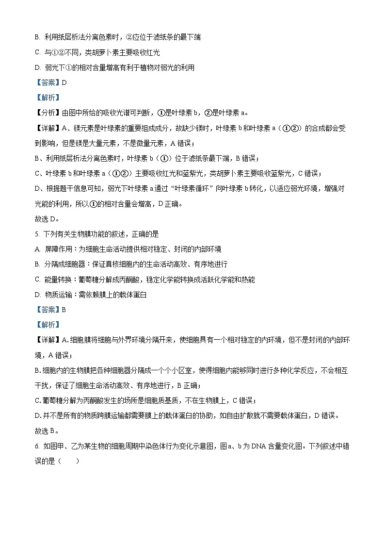 精品解析：宁夏回族自治区石嘴山市惠农区石嘴山市第一中学2025-2026学年高二上学期开学生物试题（解析版）第3页