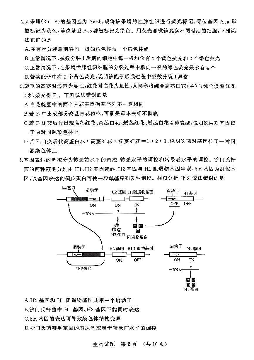 生物试卷第2页