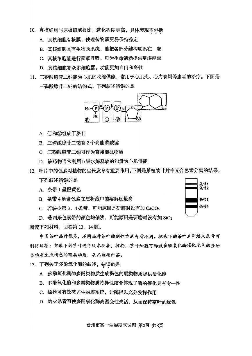 浙江省台州市2024学年第一学期高一年级期末质量评估试题生物(有答案)第2页