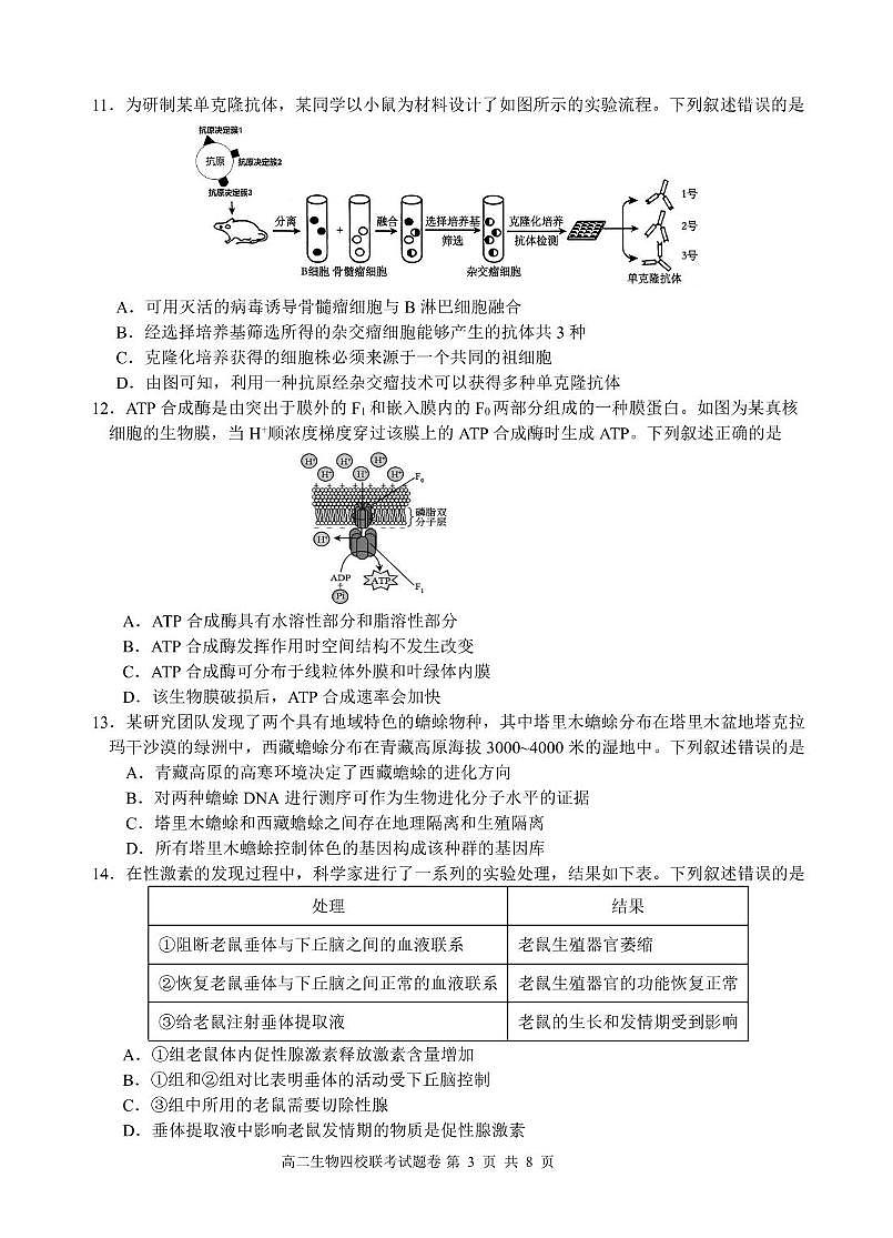 浙江省四校联盟2024-2025学年高二下学期3月联考生物试卷+答案第3页