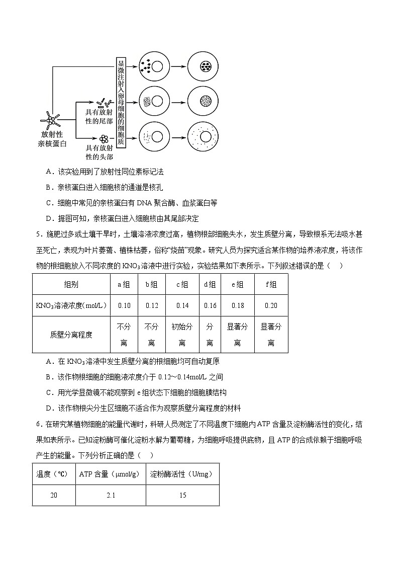 山西省太原市部分学校2026届高三上学期9月质量检测试题 生物 Word版含答案第2页