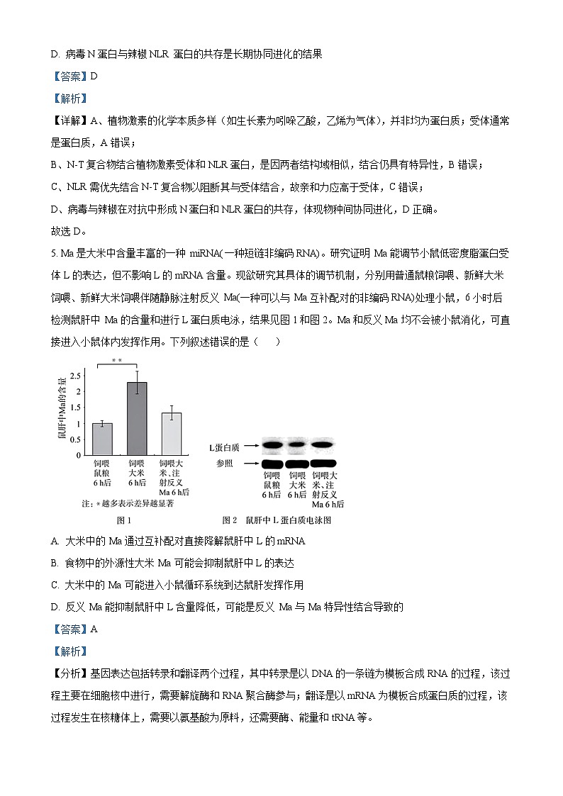 湖北省华大新高考联盟2025-2026学年高三上学期9月教学质量测评生物试卷  Word版含解析第3页