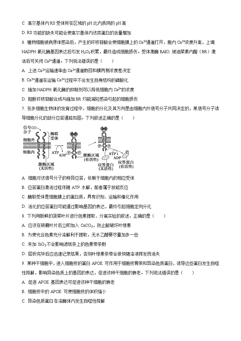 湖南省长沙市开福区湖南省长沙市第一中学2025-2026学年高三上学期9月月考生物试题  Word版无答案第2页