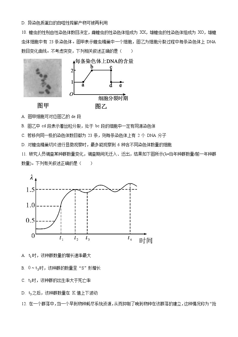 湖南省长沙市开福区湖南省长沙市第一中学2025-2026学年高三上学期9月月考生物试题  Word版无答案第3页