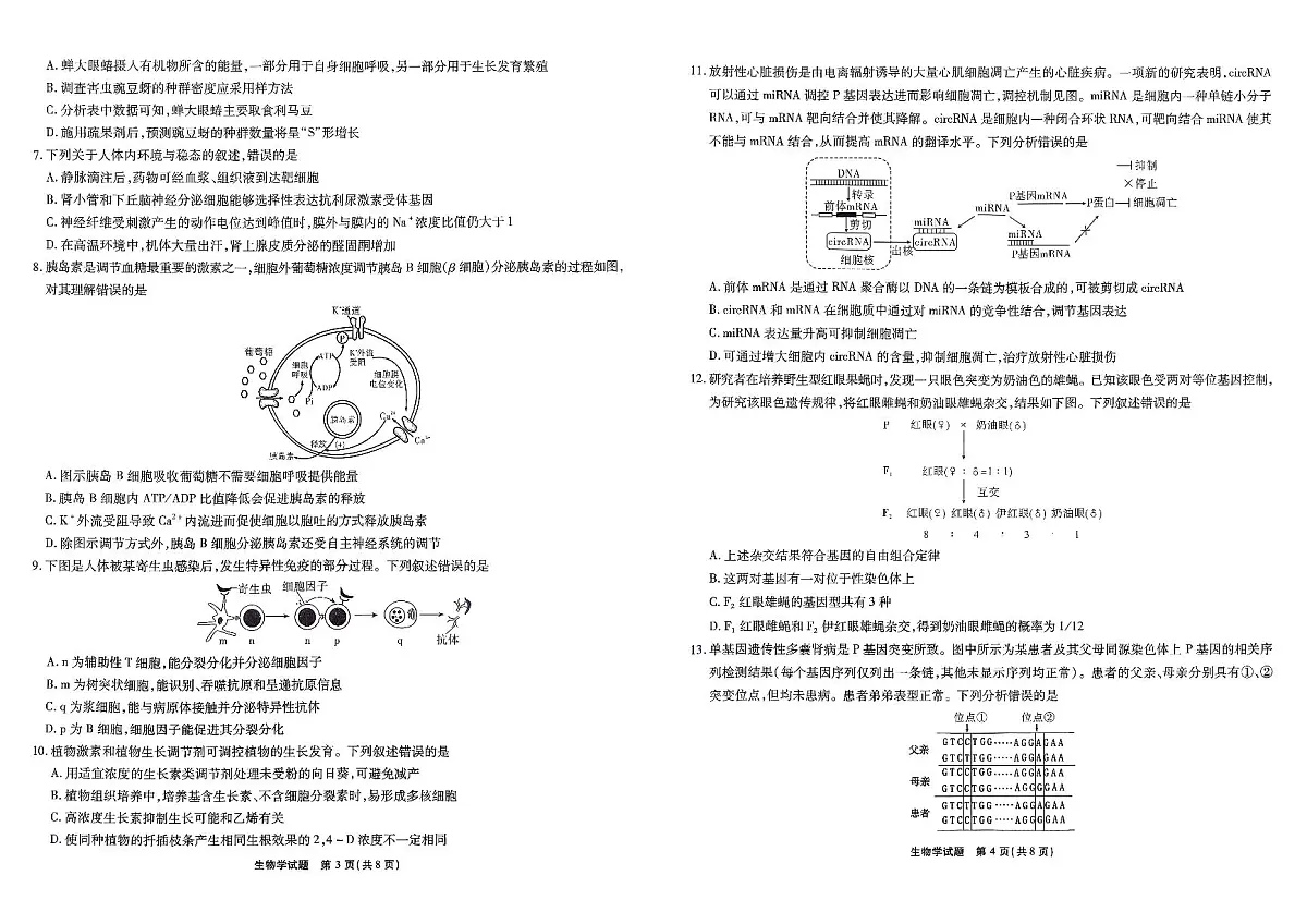 安徽省江淮十校2026届高三上学期8月第一次联考生物学试卷（含答案）第2页