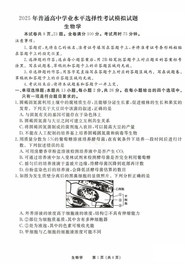 2025届衡水金卷高三下学期11月统一考（一）-生物试题（含答案）第1页