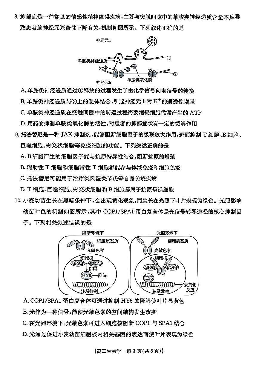 【生物】金太阳·安徽省皖西南高中振兴发展联盟高三起点考试（26-04C）第3页