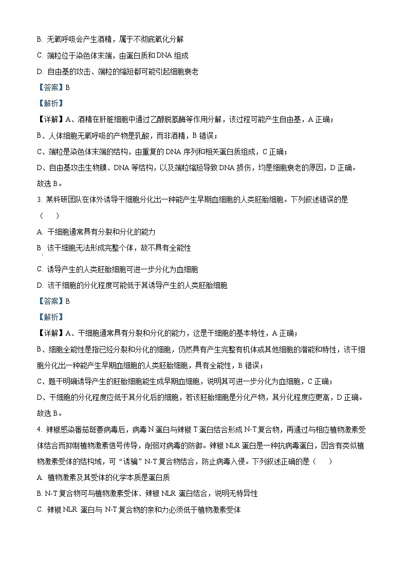 湖北省华大新高考联盟2025-2026学年高三上学期9月教学质量测评生物试卷  Word版含解析第2页