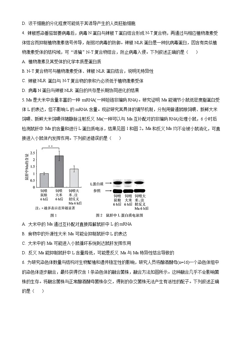 湖北省华大新高考联盟2025-2026学年高三上学期9月教学质量测评生物试卷  Word版无答案第2页