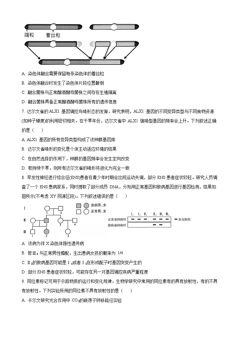 湖北省华大新高考联盟2025-2026学年高三上学期9月教学质量测评生物试卷  Word版无答案第3页
