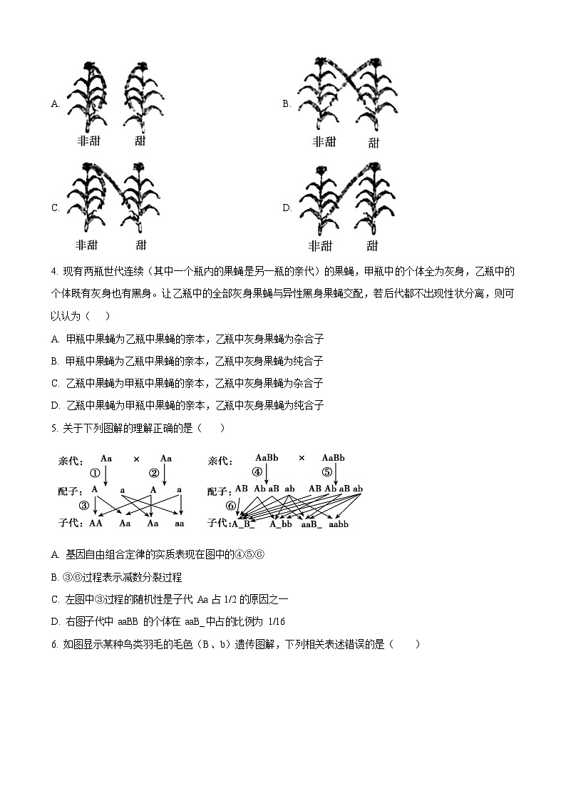 山西省太原市第五中学2025-2026学年高二上学期开学考试生物试卷第2页