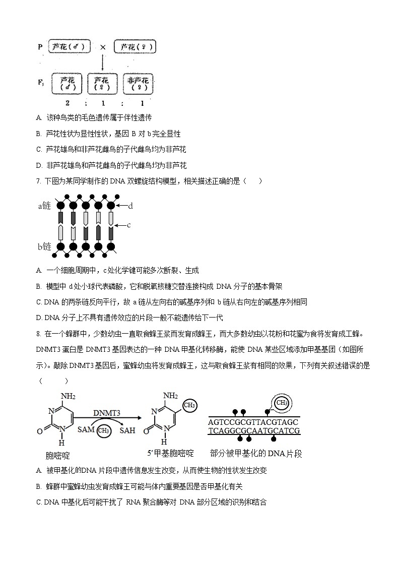 山西省太原市第五中学2025-2026学年高二上学期开学考试生物试卷第3页
