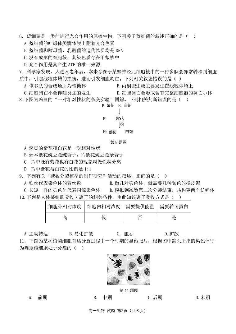 浙江省杭州市联谊学校2024-2025学年高一下学期3月月考生物试题（无答案）第2页
