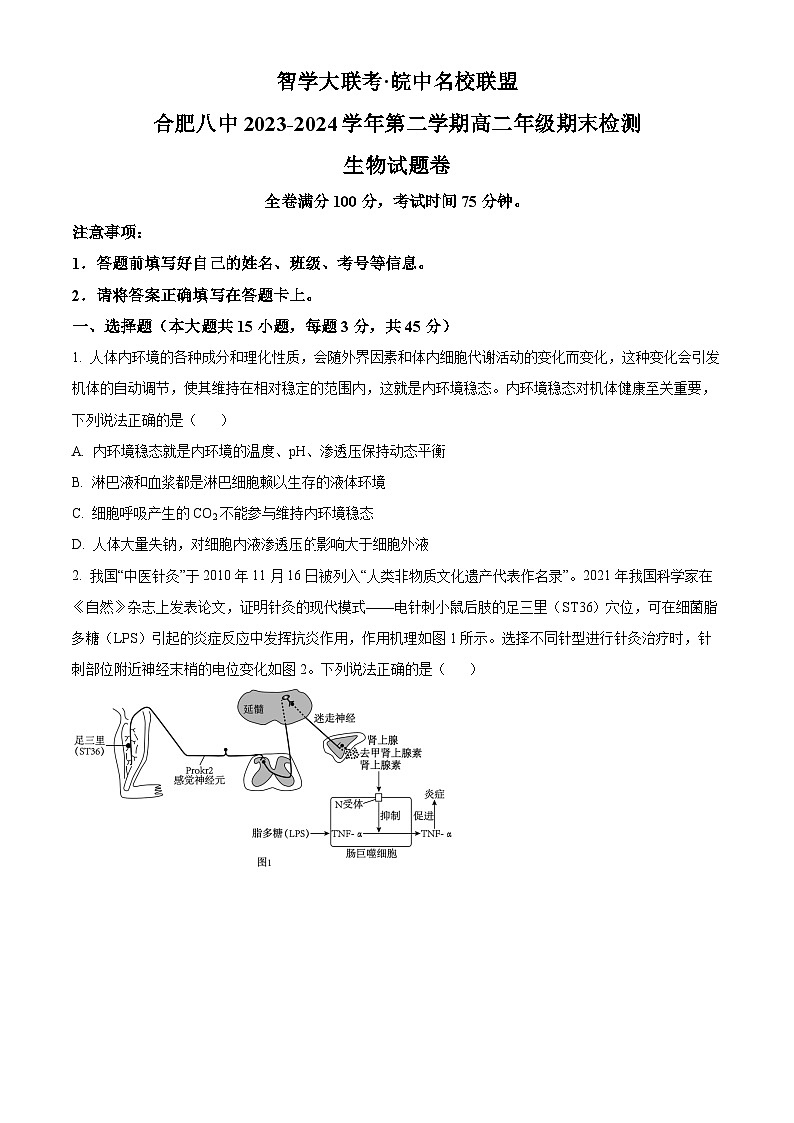 安徽省智学大联考皖中联盟（合肥八中）2023-2024学年高二下学期期末考试生物试卷第1页
