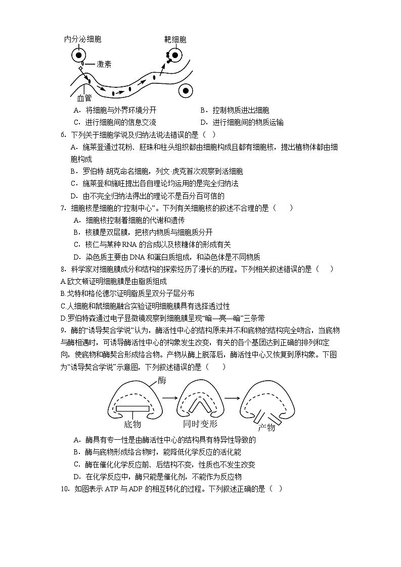 遵义市第四中学2025-2026学年高一上学期开学分班检测生物试卷第2页