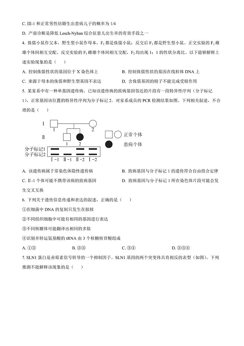 2025届北京市海淀高三下学期10月考试-生物试题（含答案）第2页