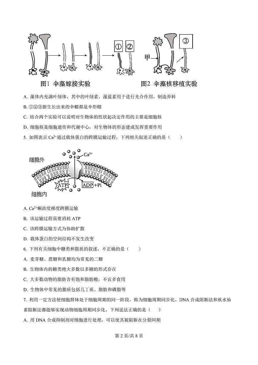 河南省信阳市浉河区信阳高级中学2025-2026学年高二上学期开学生物试题第2页