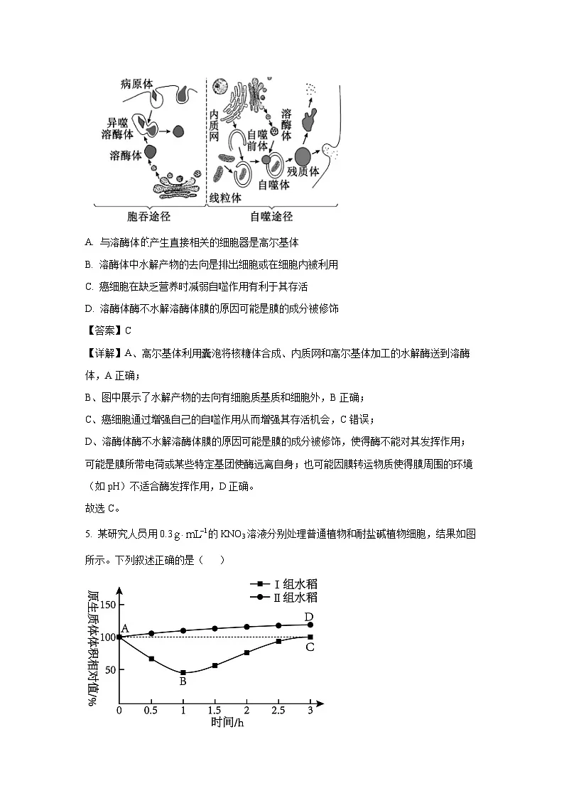 四川省蓉城名校联盟2025-2026学年高三上学期开学联考生物试卷（解析版）第3页