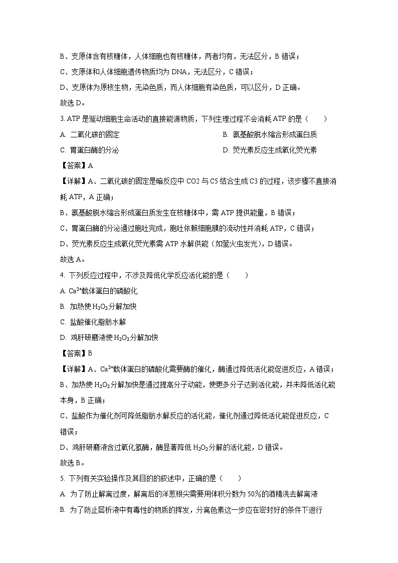 辽宁省名校联盟2025-2026学年高三上学期9月联考生物试卷（解析版）第2页