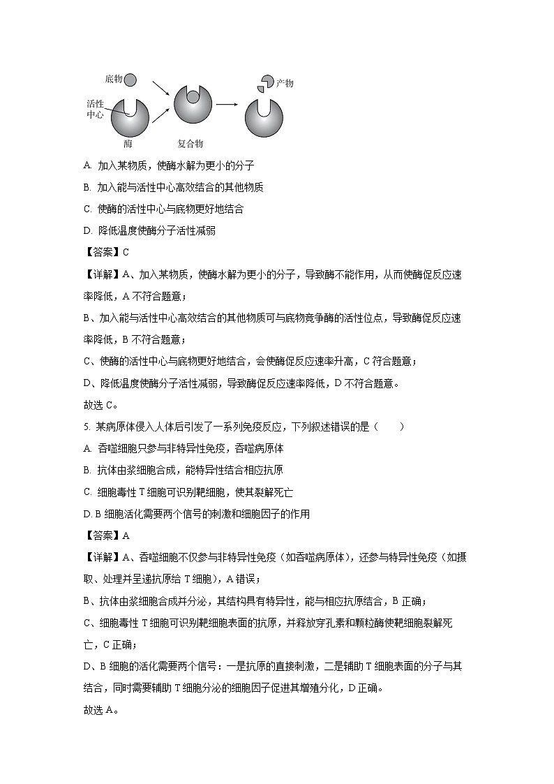 江西省部分学校2025-2026学年高三上学期8月联考生物试卷（解析版）第3页