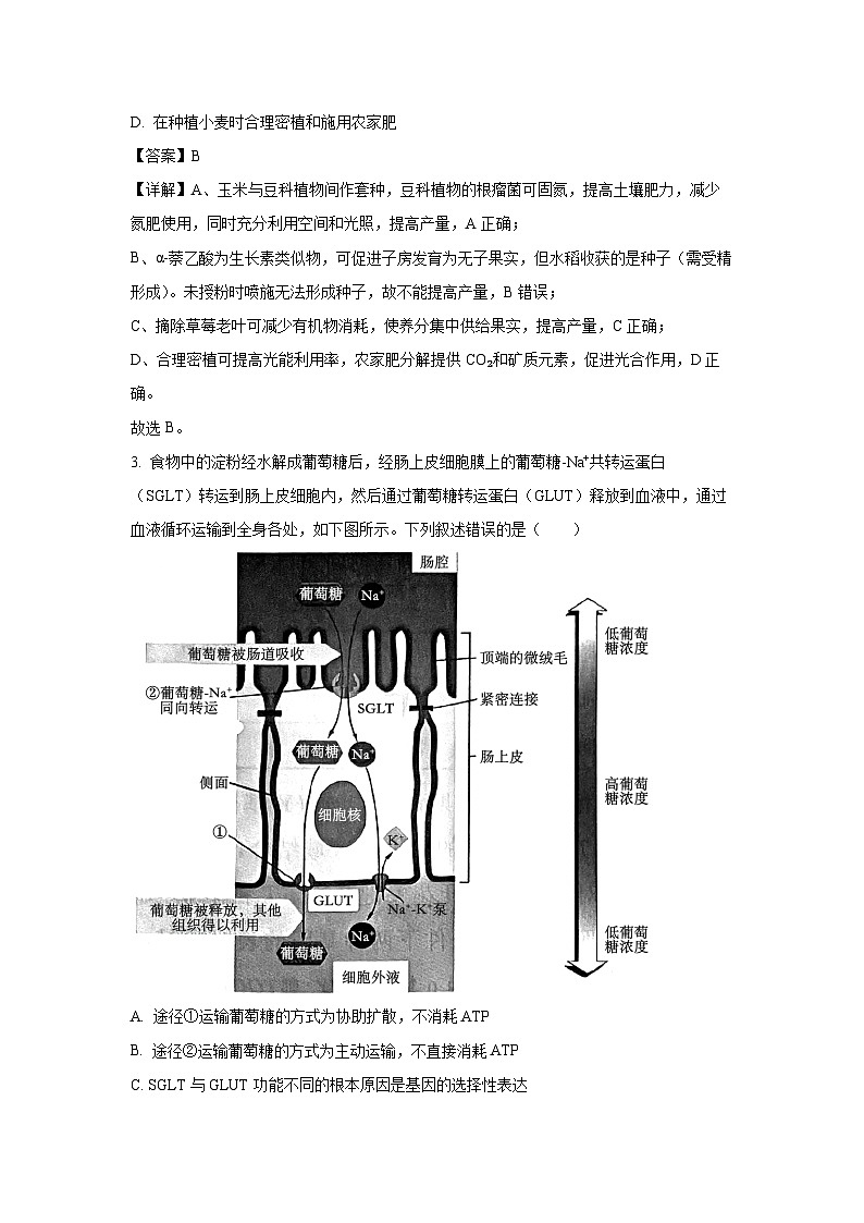 河南省新未来2025-2026学年高三上学期9月联合测评生物试卷第2页