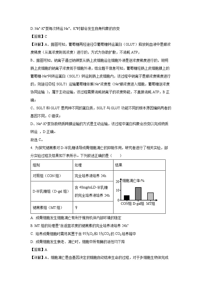 河南省新未来2025-2026学年高三上学期9月联合测评生物试卷第3页