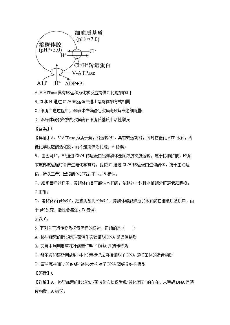 河南省百师联盟2025-2026学年高三上开学摸底联考生物试卷（解析版）第3页