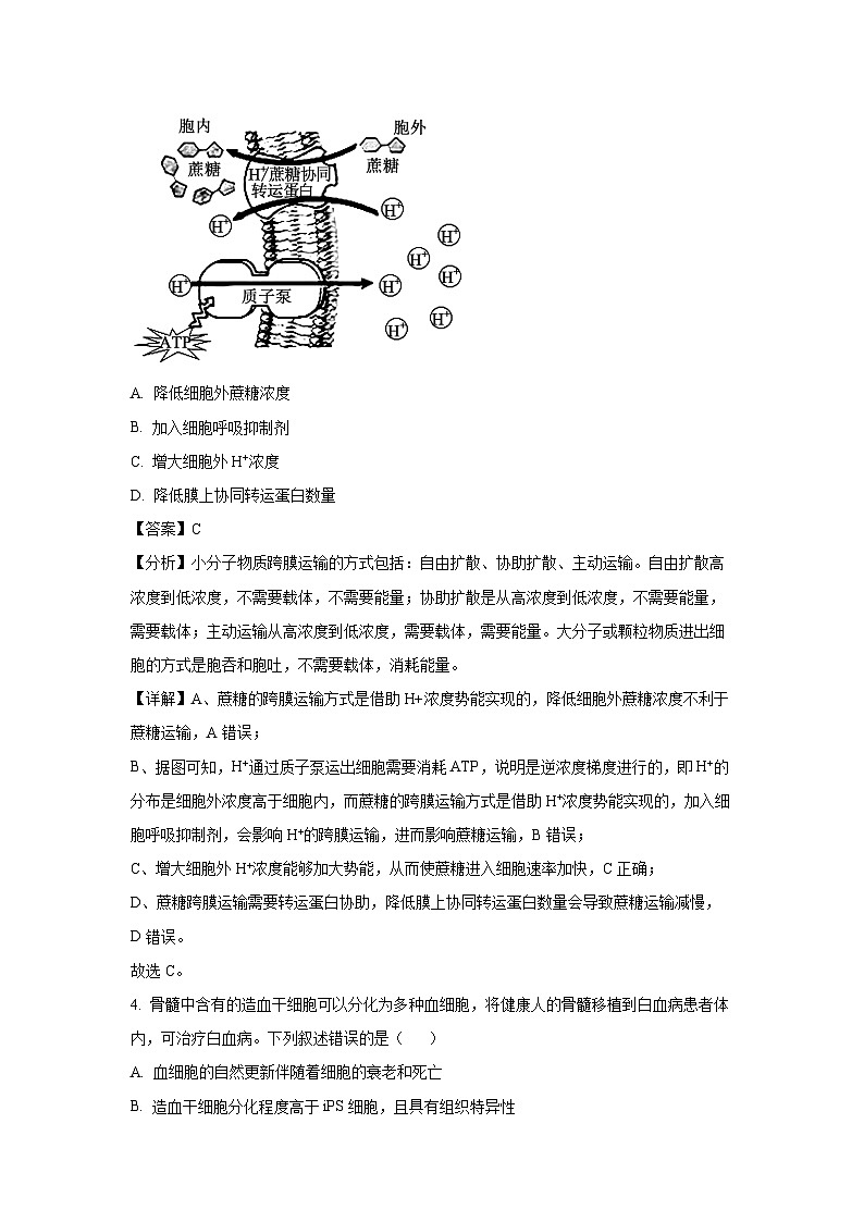 云南省长水教育集团2024-2025学年高二下学期6月质量检测生物试卷（解析版）第3页