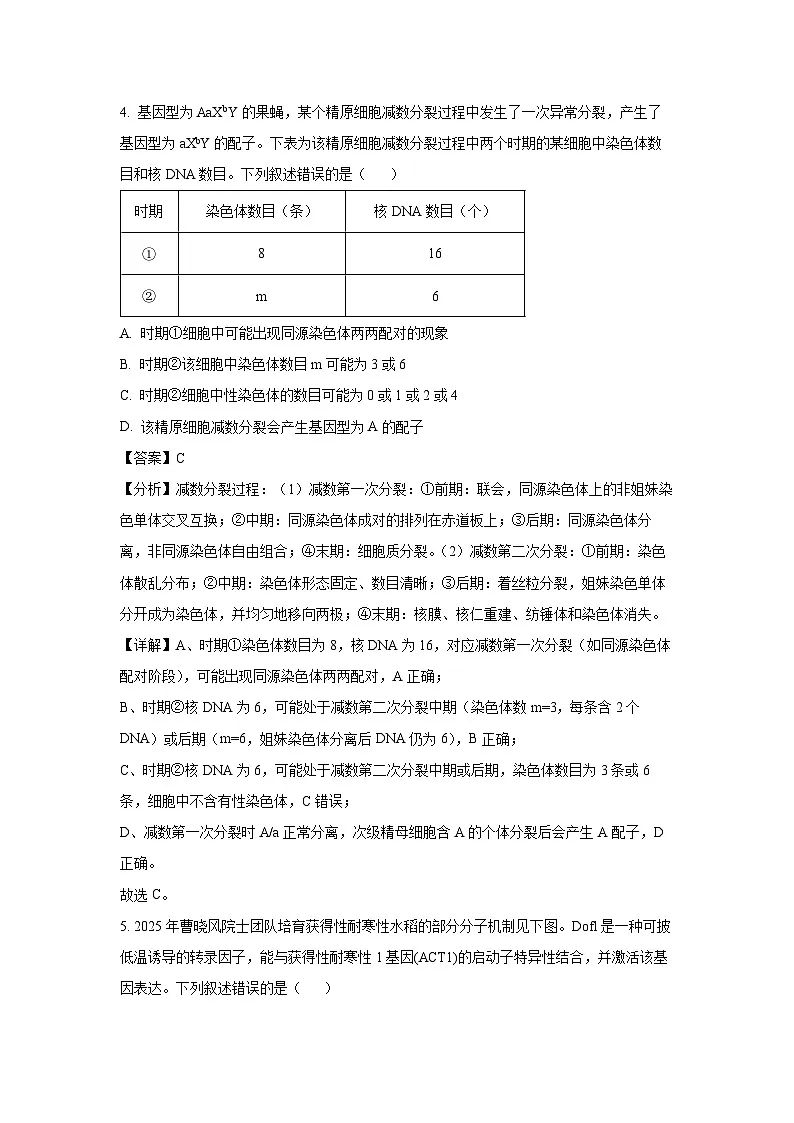 云南省昆明市普通高中2024~2025学年高二下学期期末质量检测生物试卷（解析版）第3页