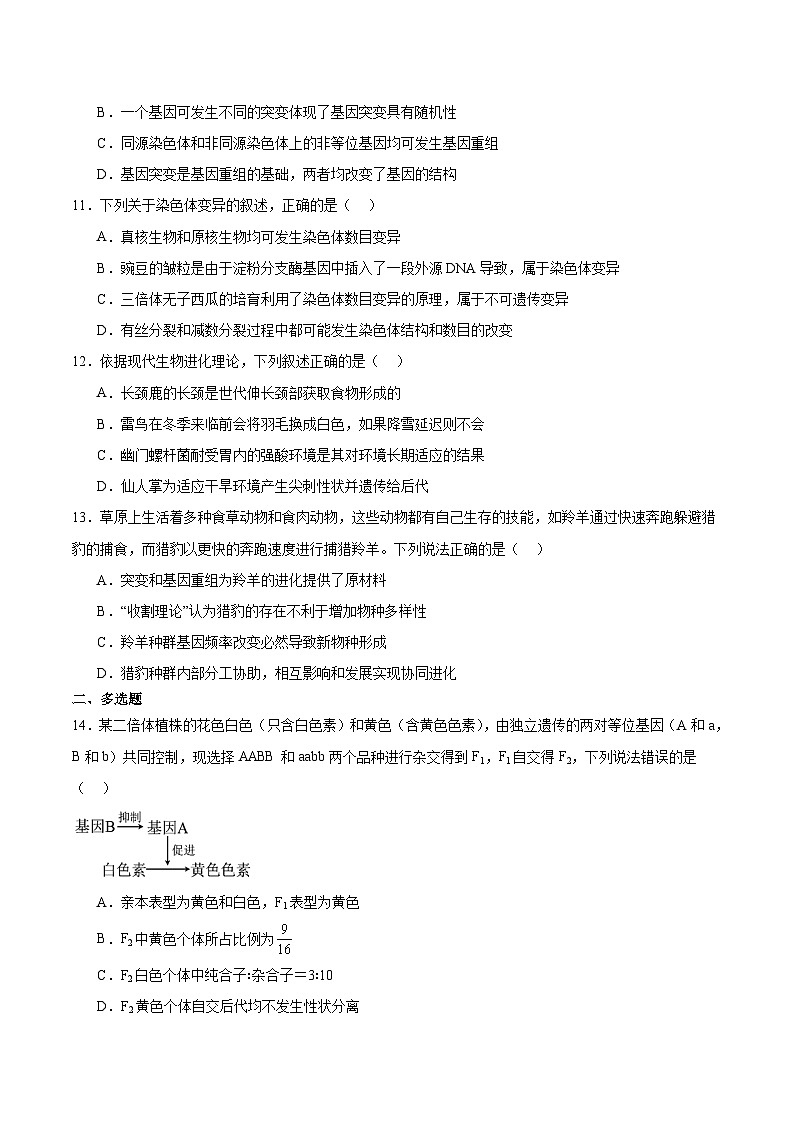 河北省NT20名校联合体2025-2026学年高二上学期入学摸底考试 生物试卷第3页