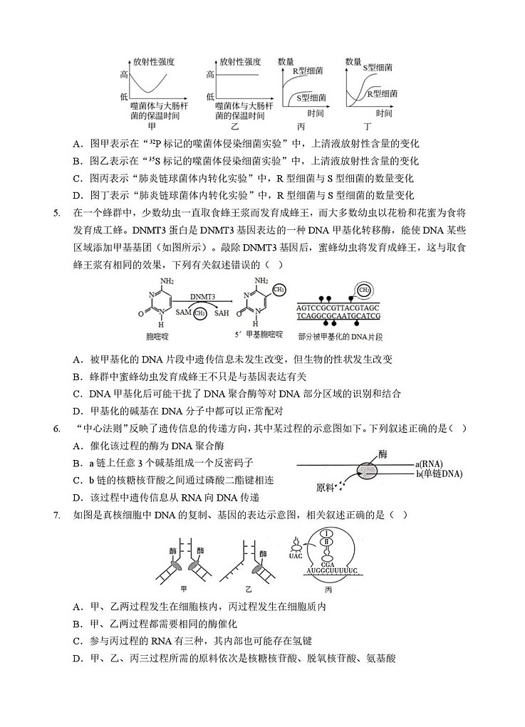 湖北省孝感市2025-2026学年高二上学期9月月考考试生物试卷第2页