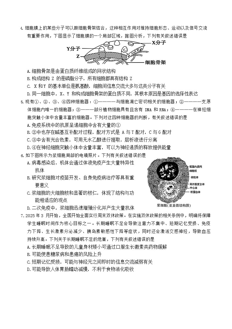 湖南省邵阳市2025-2026学年高二上学期创新班9月联考生物试卷第2页