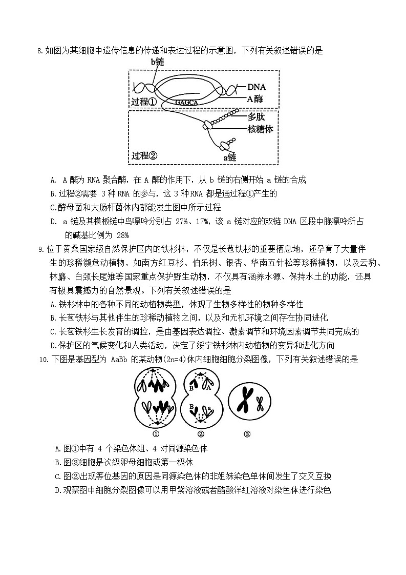 湖南省邵阳市2025-2026学年高二上学期创新班9月联考生物试卷第3页
