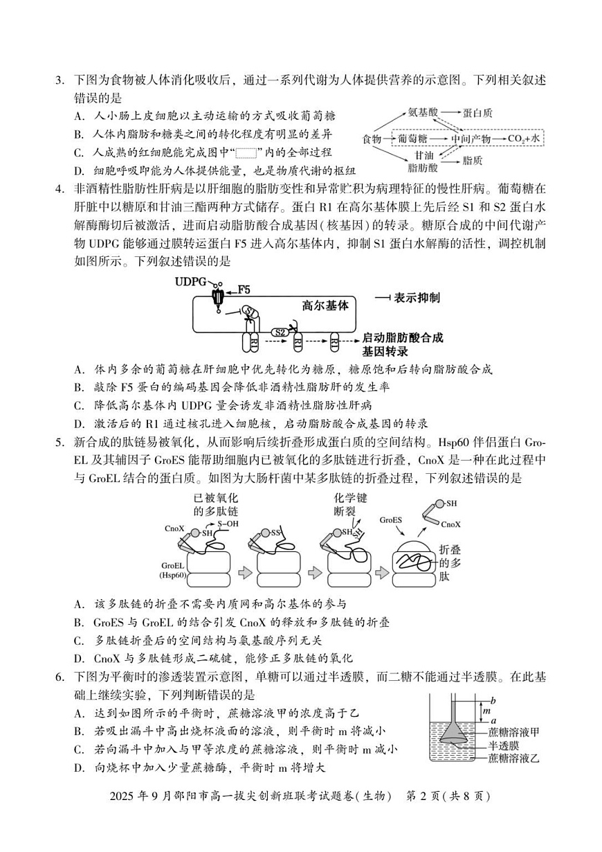 湖南省邵阳市2025-2026学年高一上学期9月创新班联考生物试卷第2页