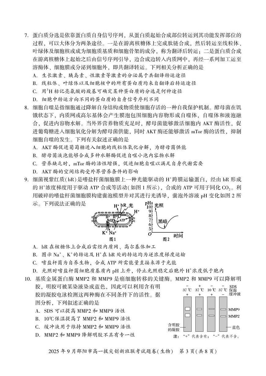 湖南省邵阳市2025-2026学年高一上学期9月创新班联考生物试卷第3页