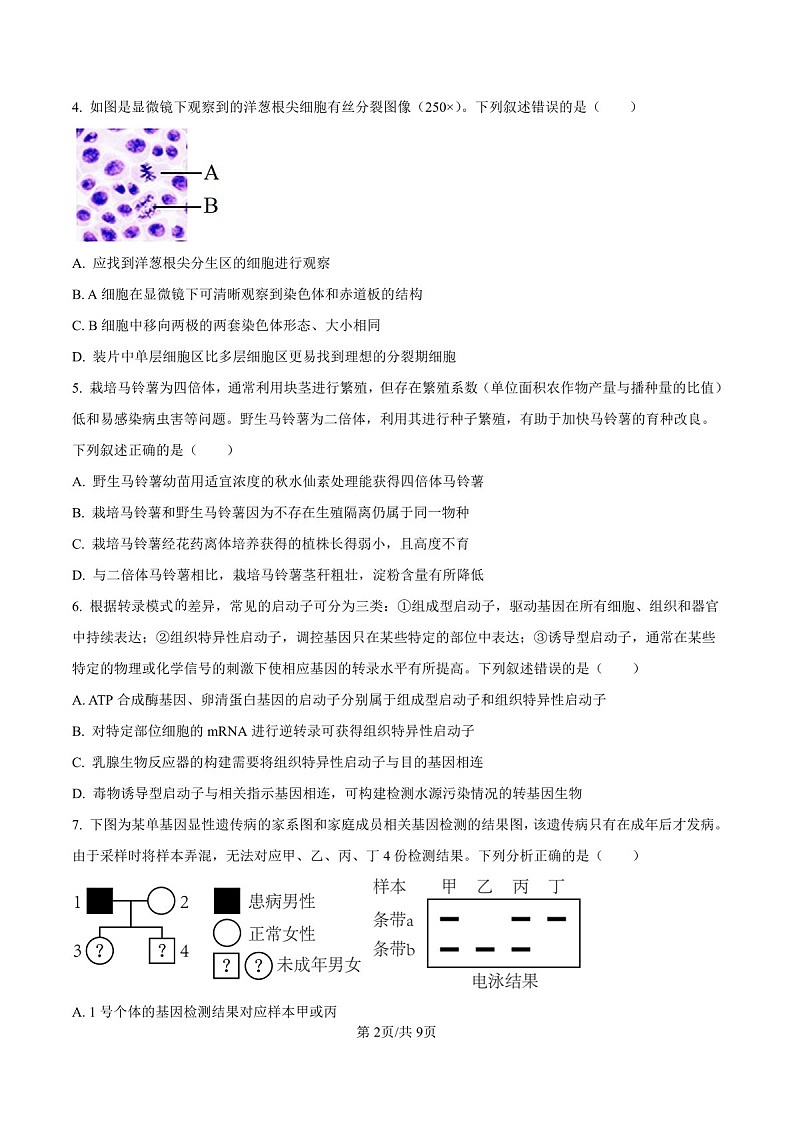 2025届甘肃省白银市靖远一中高三下学期11月期中考-生物试卷（含答案）第2页