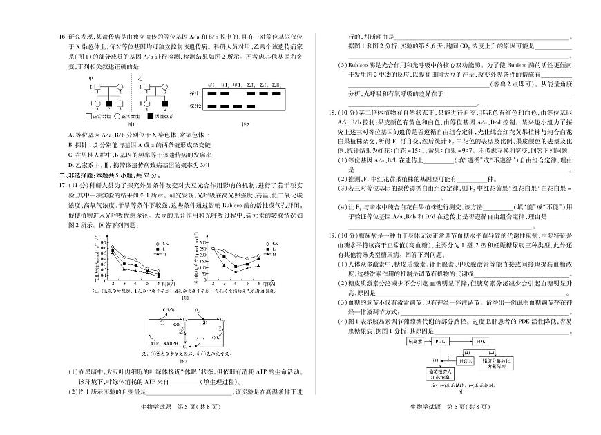 天一大联考·河南省2025-2026学年高三年级上学期开学考生物试卷及答案第3页