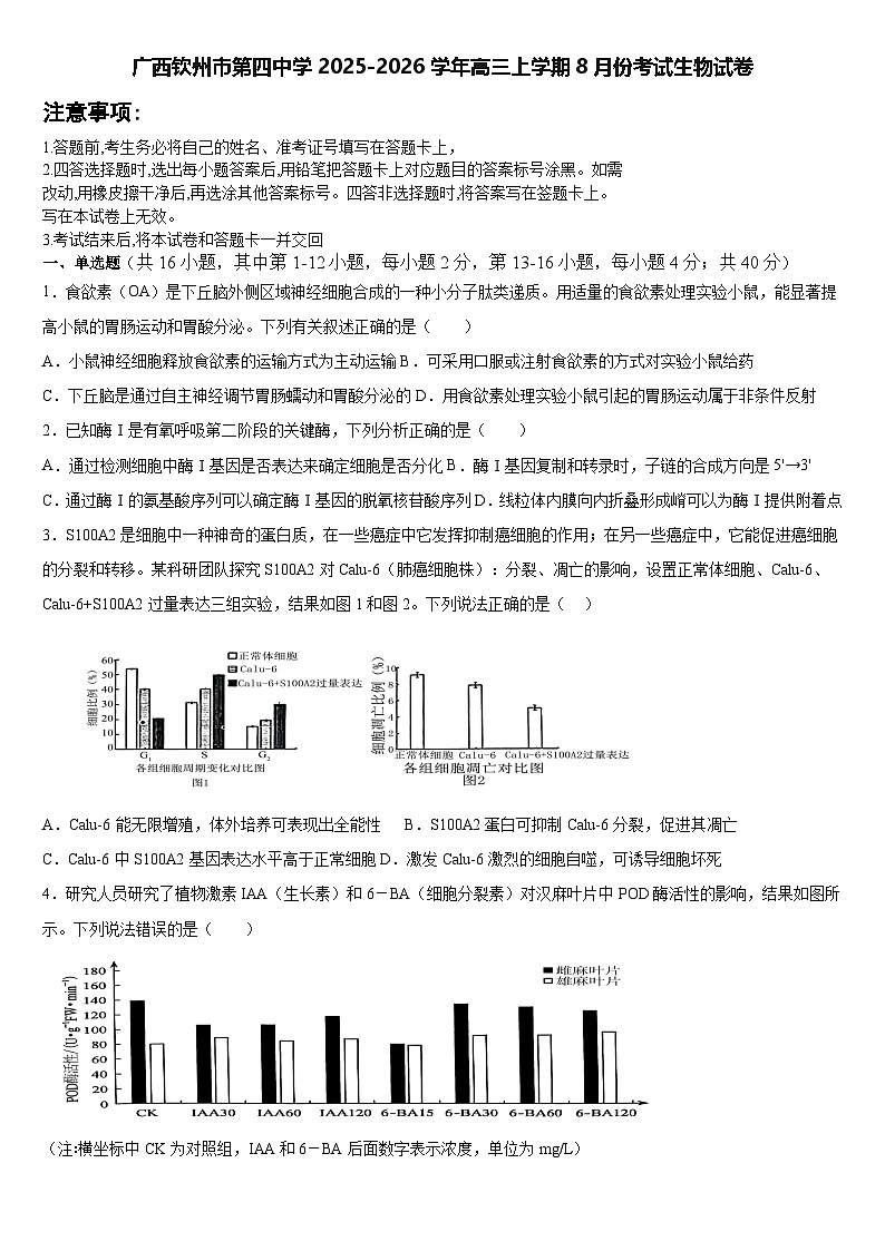 广西钦州市第四中学2025-2026学年高三上学期8月份考试生物试卷第1页