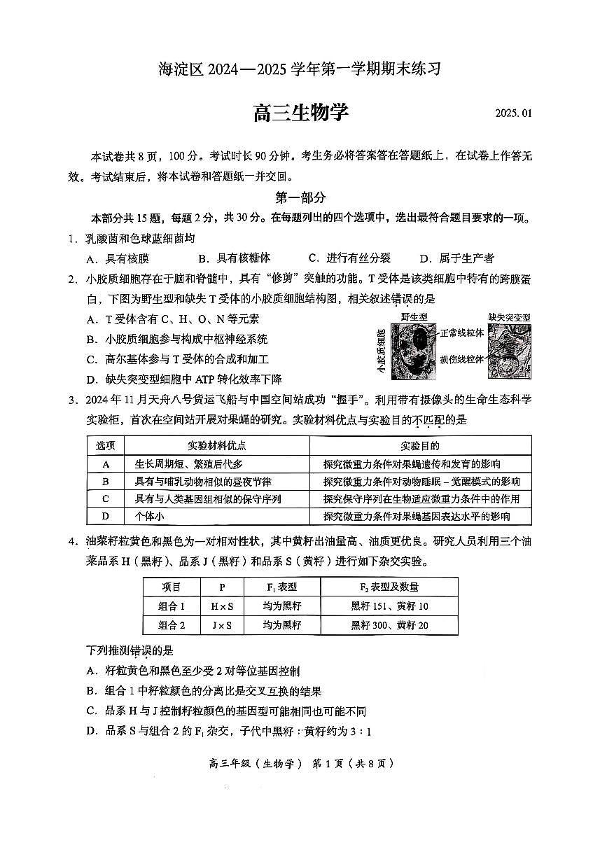 北京市海淀区2024-2025学年上学期高三期末练习生物第1页