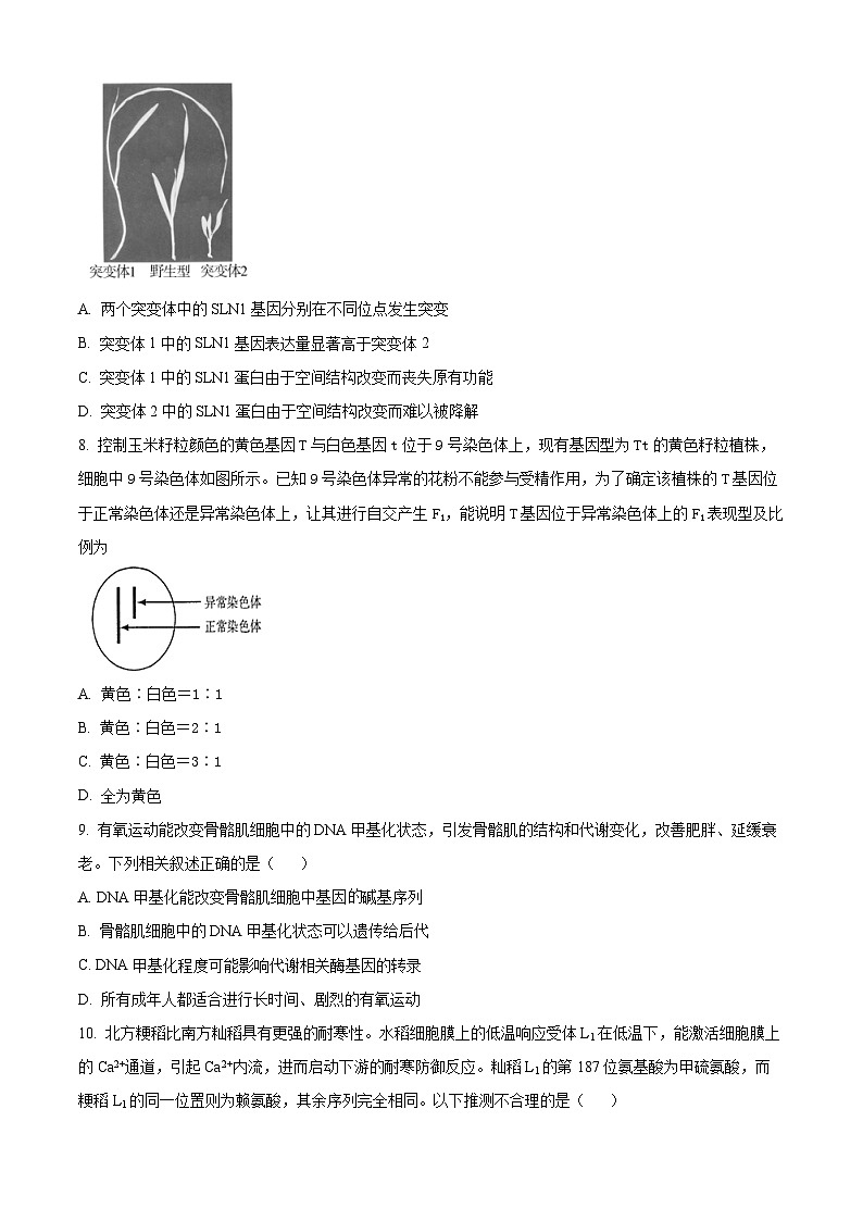 北京市海淀区2024-2025学年高三上学期10月考试生物试卷第3页