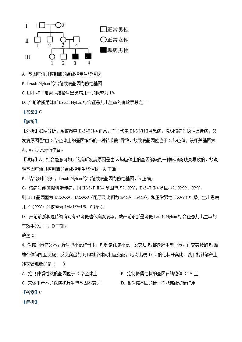 北京市海淀区2024-2025学年高三上学期10月月考生物试卷 Word版含解析第3页