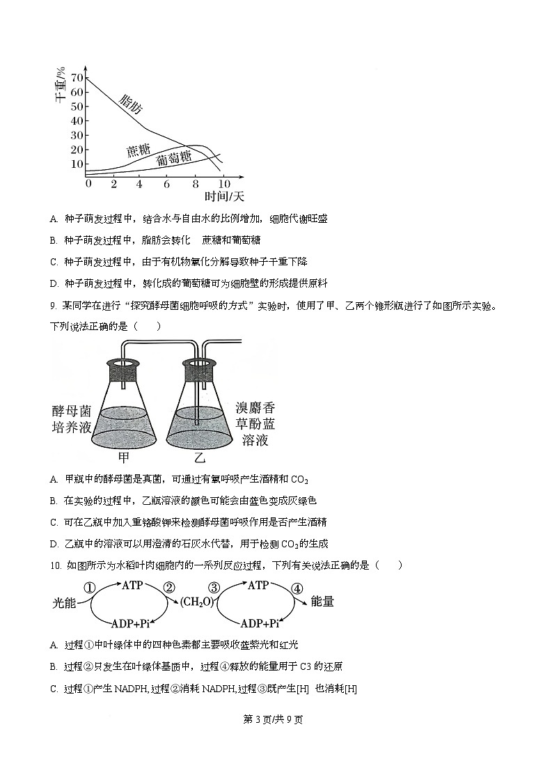 四川省广元市苍溪中学2026届高三上学期9月月考生物试题（原卷版）第3页