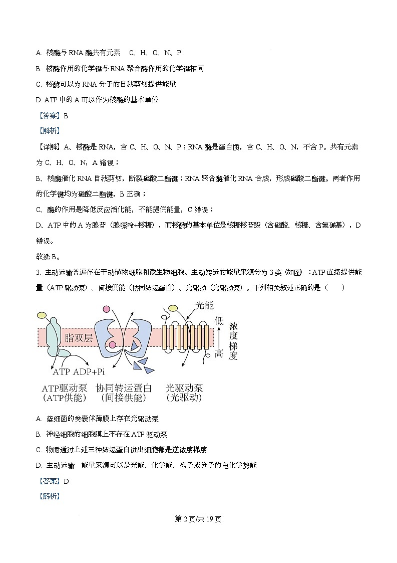四川省广安市广安中学2026届高三上学期“零诊”模拟考试生物试题含解析第2页