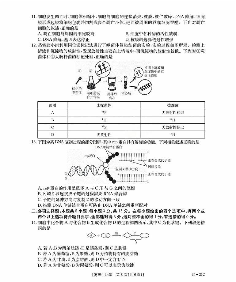2026衡水桃城区高三上学期暑假开学考试生物PDF版含答案第3页