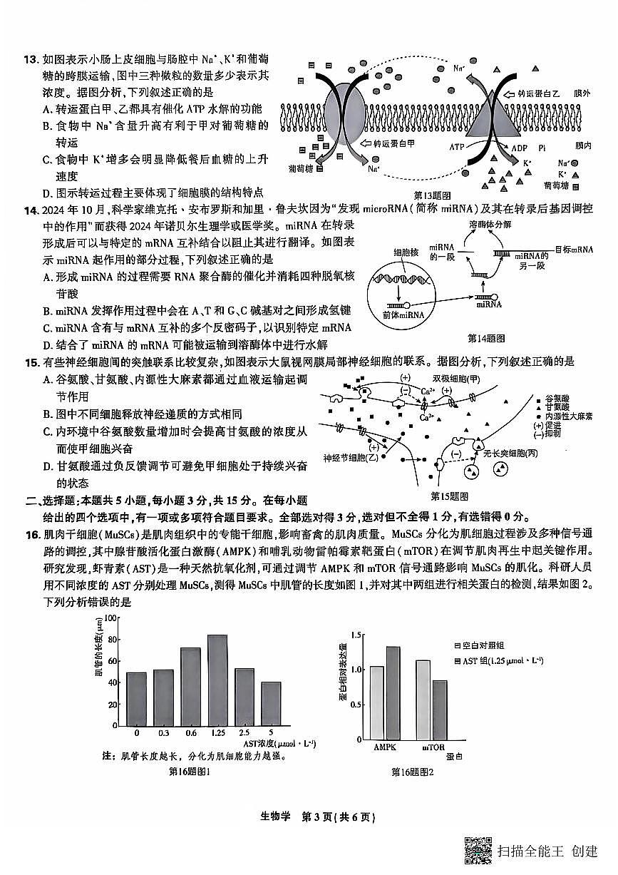 东北三省精准教学2024-2025学年高三上学期12月联考生物学试题（PDF版，含答案）第3页