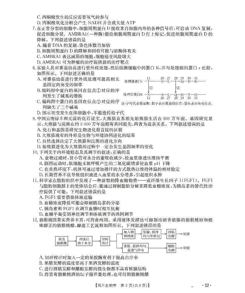 新疆金太阳2026届高三9月开学联考（XJ）生物第2页