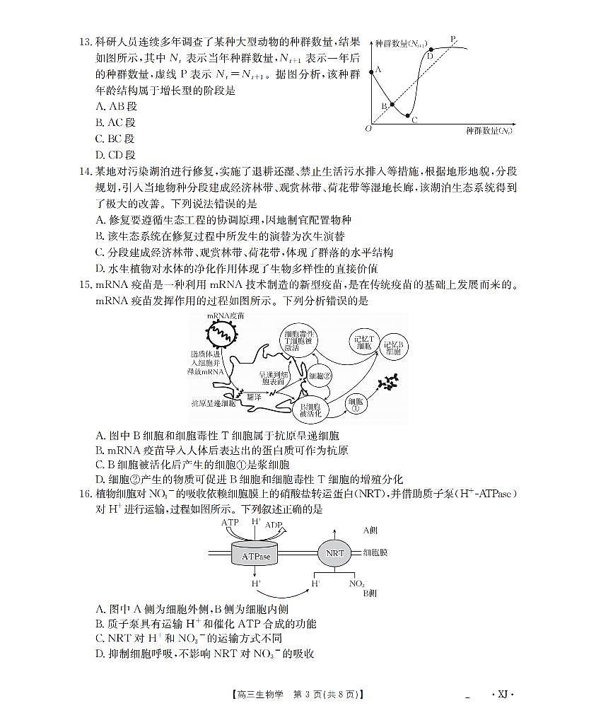 新疆金太阳2026届高三9月开学联考（XJ）生物第3页